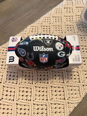 Wilson Black NFL Logo Mini Football